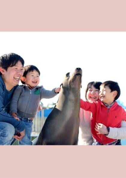\無料チケットでお出かけ！/
子どもの “好き”をみんなで見つけよう
#ソノリゴフューチャー  #SonoligoFuture 

海の生きものと
直接ふれあえる
体験型の水族館🐬
#南知多ビーチランド
柵やガラスを少なくすることで、近距離のふれあい空間を実現しています👇
buff.ly/4BcwQoR