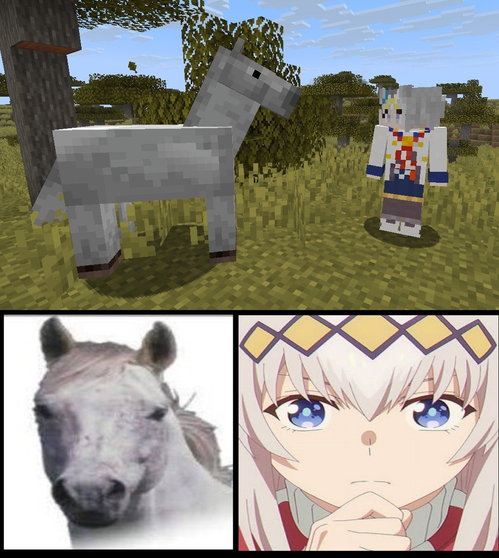 ChapitasGOD's tweet photo. horse vs horse https://t.co/AKyAHYjYCo