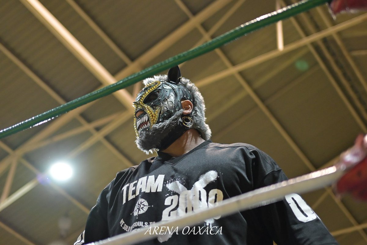 luchalucha🇲🇽 tweet media
