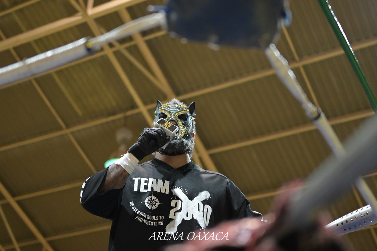 luchalucha🇲🇽 tweet media