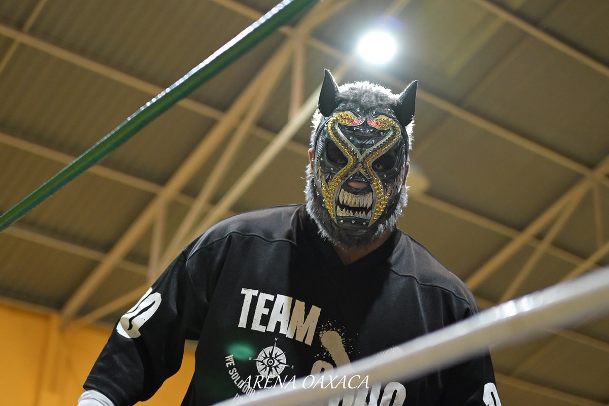 luchalucha🇲🇽 tweet media