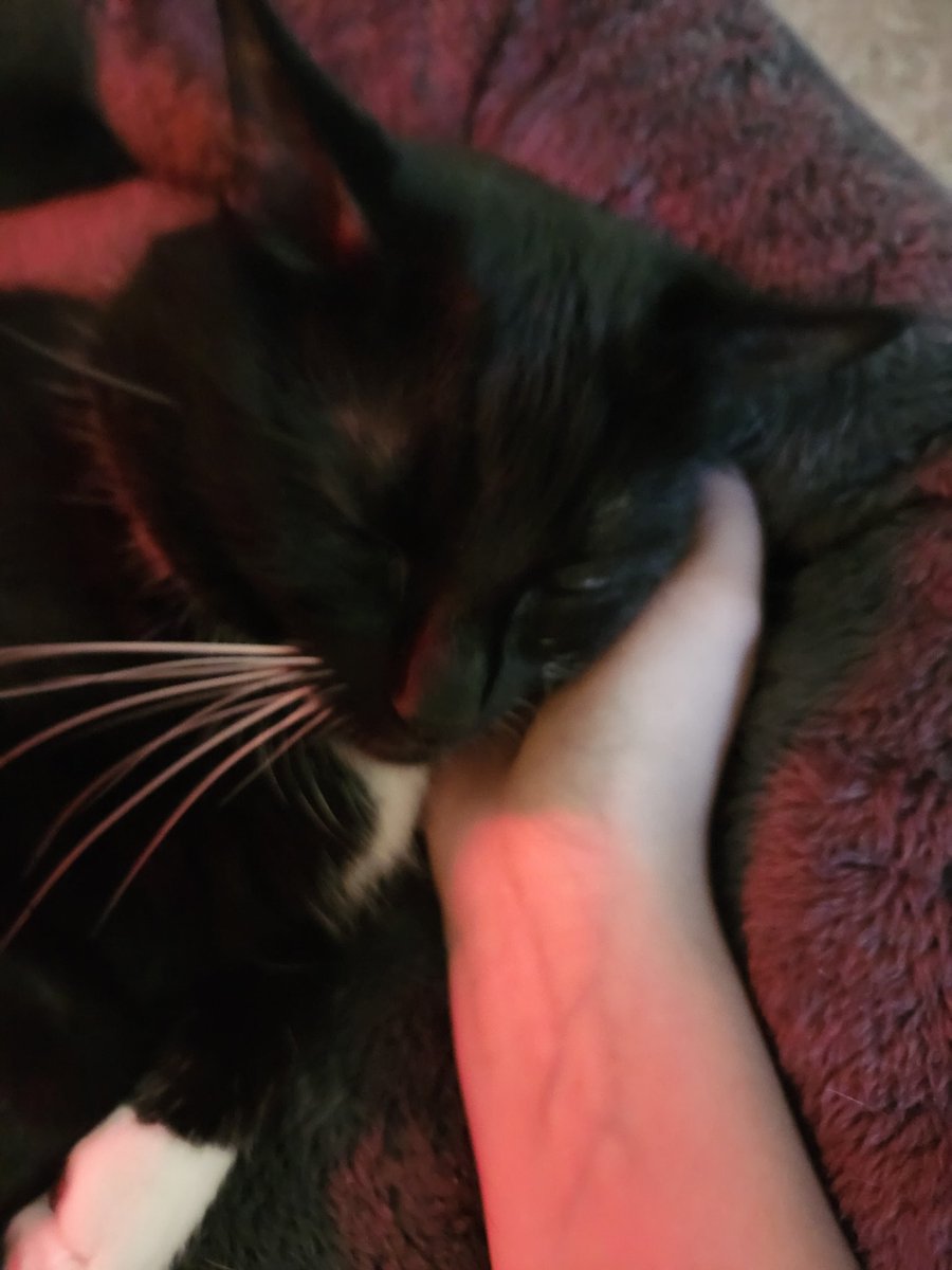 🫧; magnus loves herman! tweet media