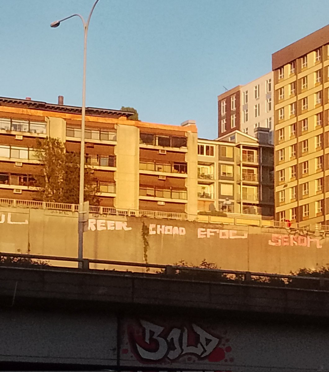 ItsCarly__Bitch's tweet photo. #Seattle #graffiti is absolute #trash
#DoBetter
#BeBetter
#Choad
๐โ ๏ธ https://t.co/CpfJ0eFoTD