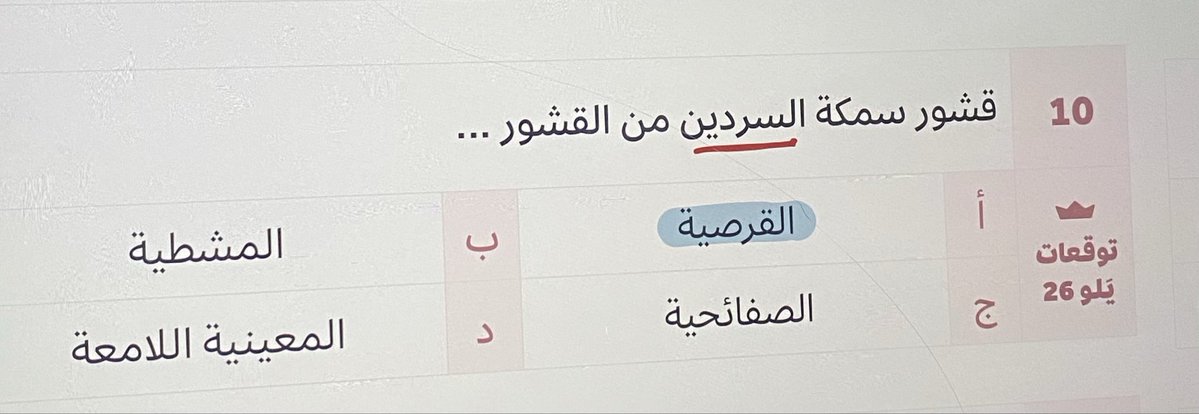 🍯 tweet media