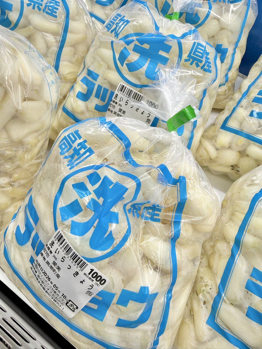 黒潮町の特産品【らっきょう】の季節です‼️ 入野松原付近の砂地で栽培