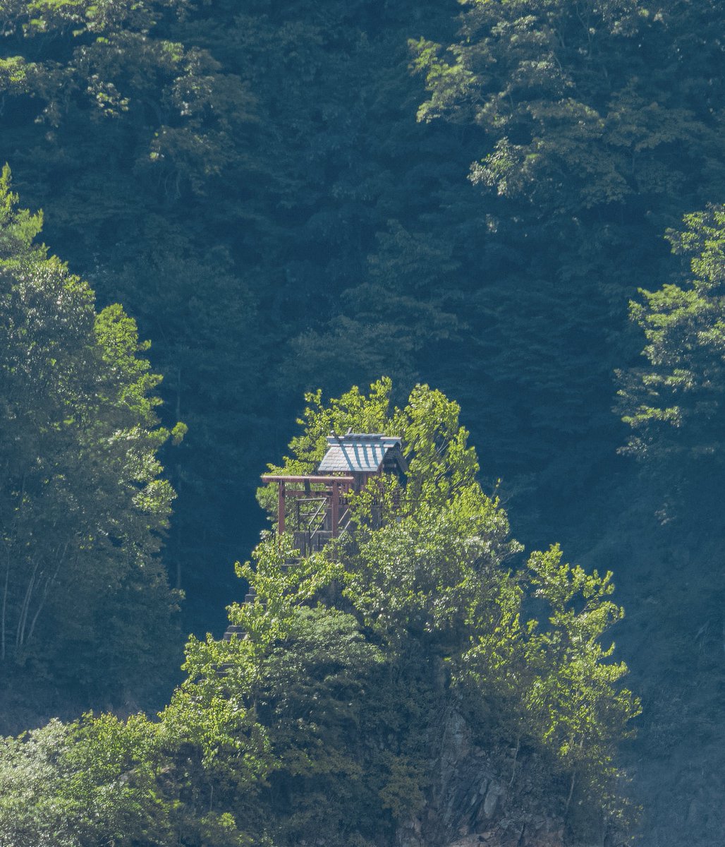 一人旅研究会 tweet media