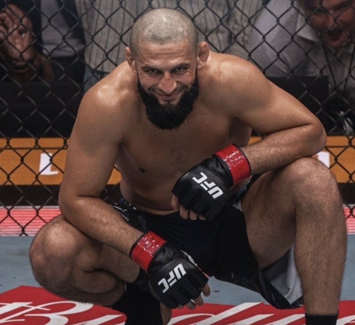 Chicken King MMA tweet media