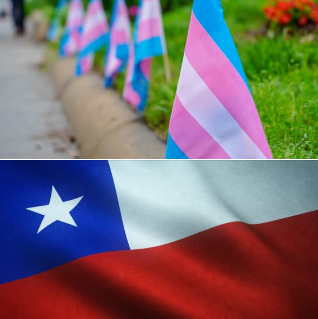 Noticias LGBT+ tweet media