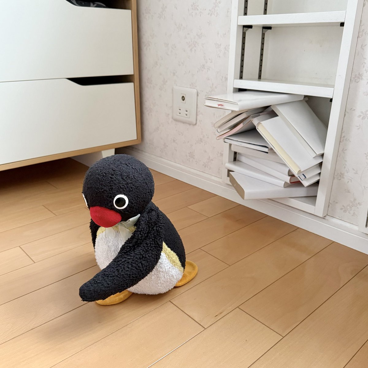 pingmyping tweet media