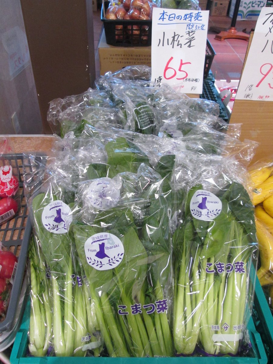 TFT_Building's tweet photo. 本日は八百屋さんが営業中です！
🥒🍅🍌🍊🍓

新鮮な野菜🫑と果物🍉をお手頃価格でたくさんご用意してお待ちしております。特売品は「小松菜 1袋 65円(税抜) 限定50袋」です。ぜひお立ち寄りください😃

#TFTビル 
#有明 https://t.co/poXrawOOmr
