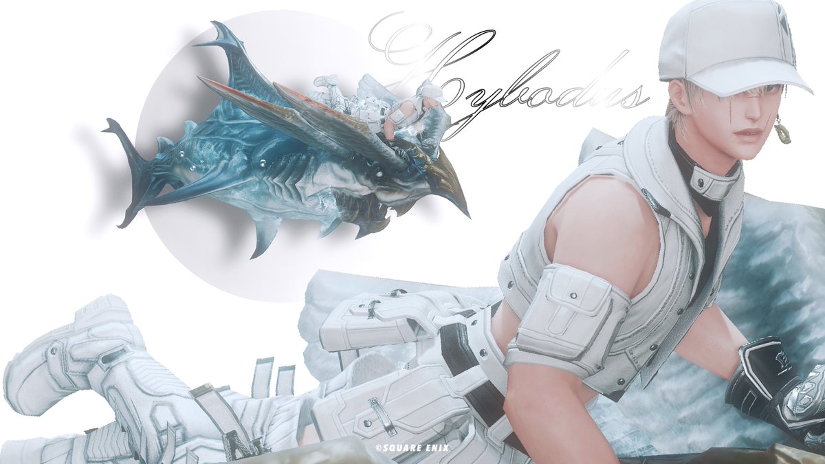 ___7i_'s tweet photo. 🦈マウントの乗り方かわいっ https://t.co/uwkLgLNtVS
