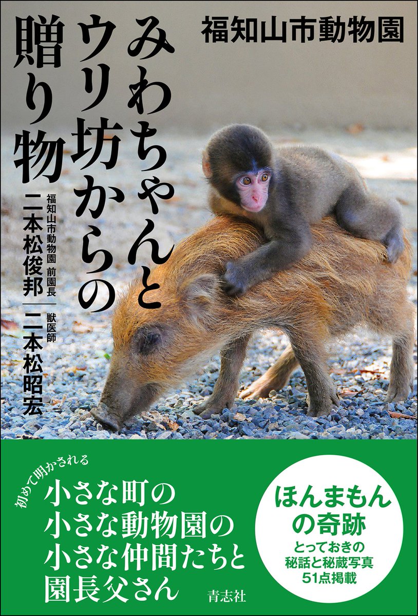 seishisha's tweet photo. 【新刊】
『福知山市動物園 みわちゃんとウリ坊からの贈り物』
二本松俊邦・二本松昭宏／著
５月23日発売！
初めて明かされる、小さな町の小さな動物園の小さな仲間たちと園長父さん

詳しくは https://t.co/IUlxQGUzUS
Amazon https://t.co/1jJi7aLZzm
楽天 https://t.co/aENWOkTzjt

#福知山市動物園 https://t.co/xTki3Md9oz