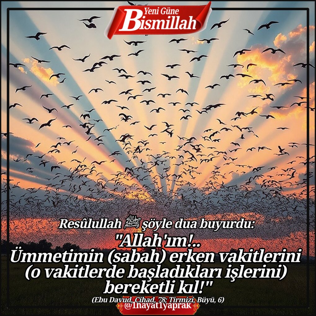 𝟏𝐇𝐚𝐲𝐚𝐭🌍𝟏𝐘𝐚𝐩𝐫𝐚𝐤🌿 tweet media
