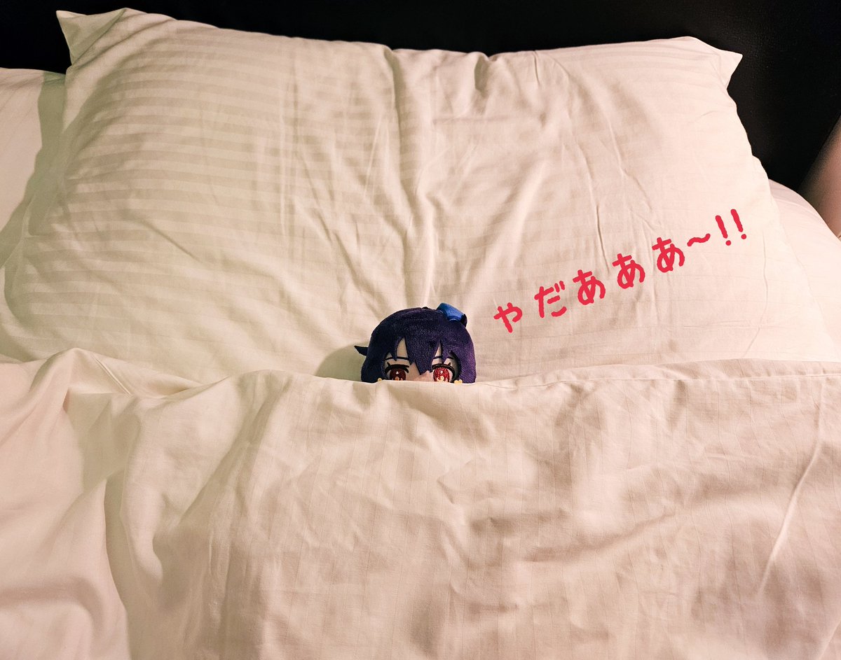 「愛ちゃん、帰るぞ~」

🌼「🎶… …⁉️」

「今から空港へ向かいますよ」

🌼「やだぁぁああ～💦」

#愛ちゃんお出かけ