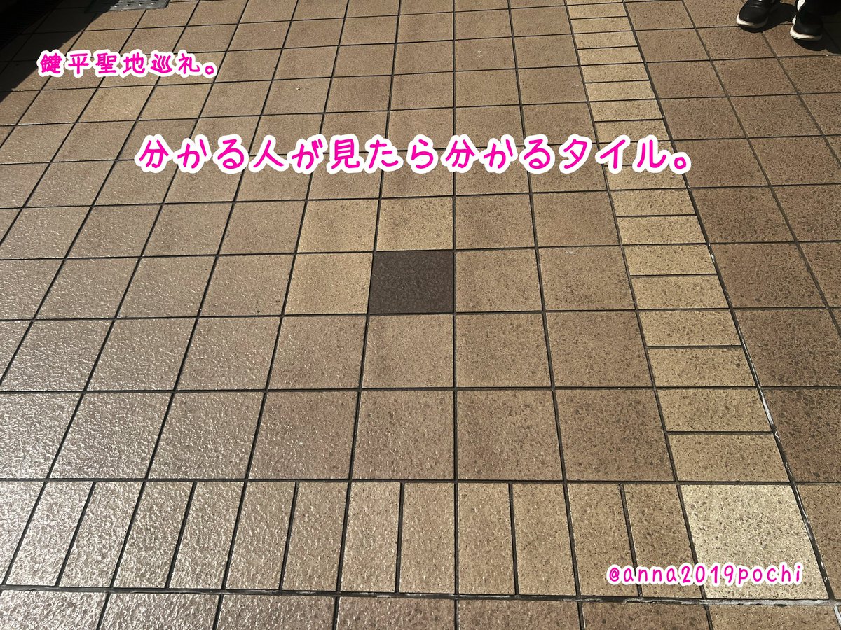 あんな✈️ tweet media
