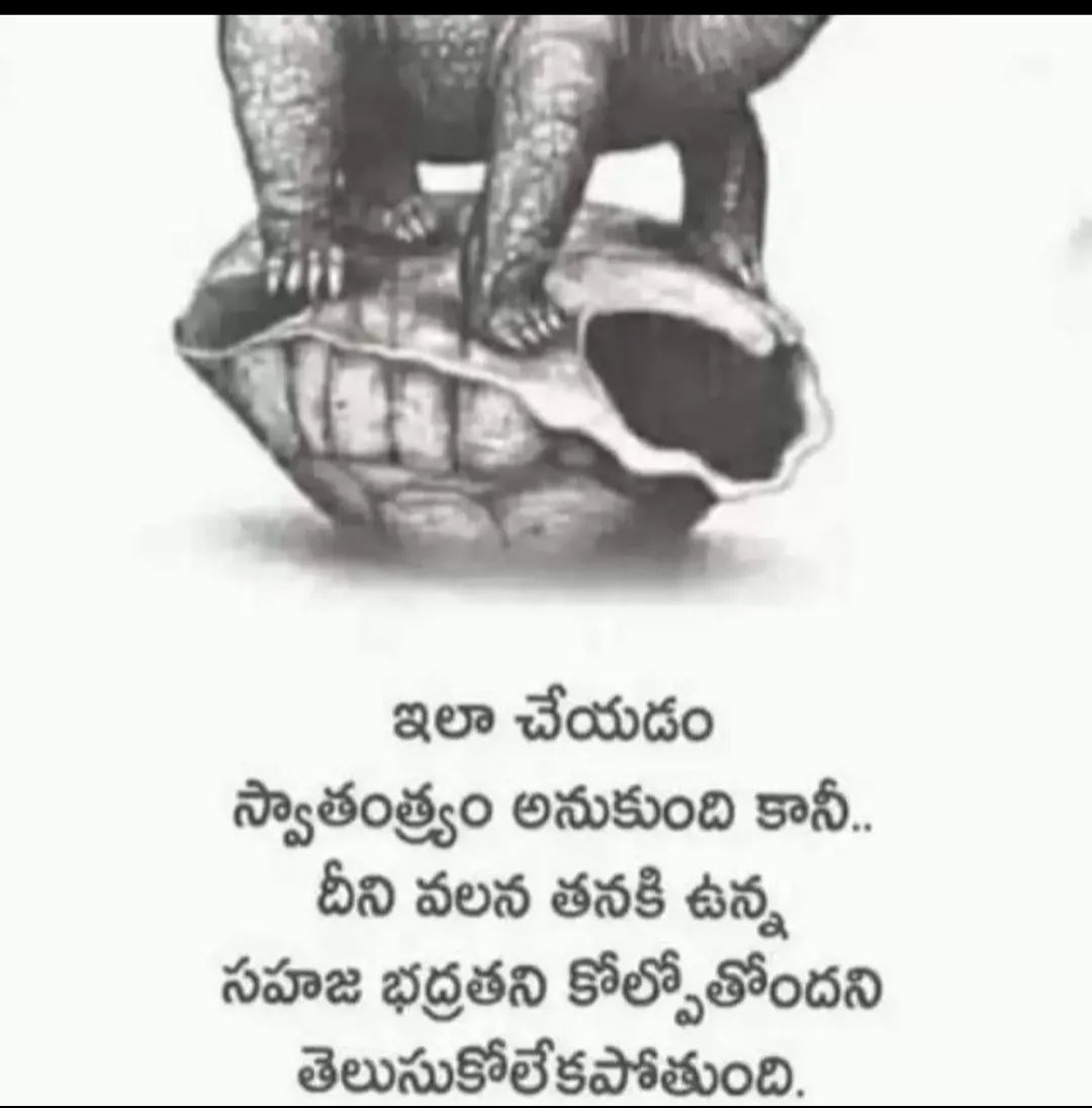 Radhika tweet media