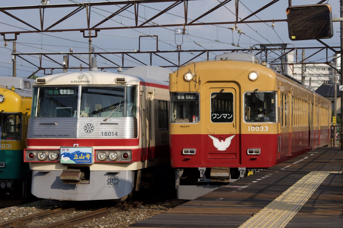 しぐれ🚑 tweet media