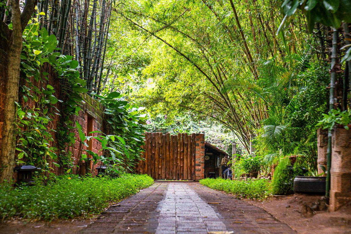 ishafoundation's tweet photo. The beautiful natural ambience of Isha Yoga Center.
#ShotAtIsha https://t.co/teYk76QjdP