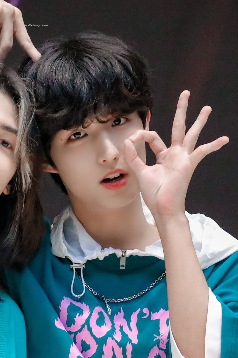 ㅌㅊㅅ 일일 tweet media