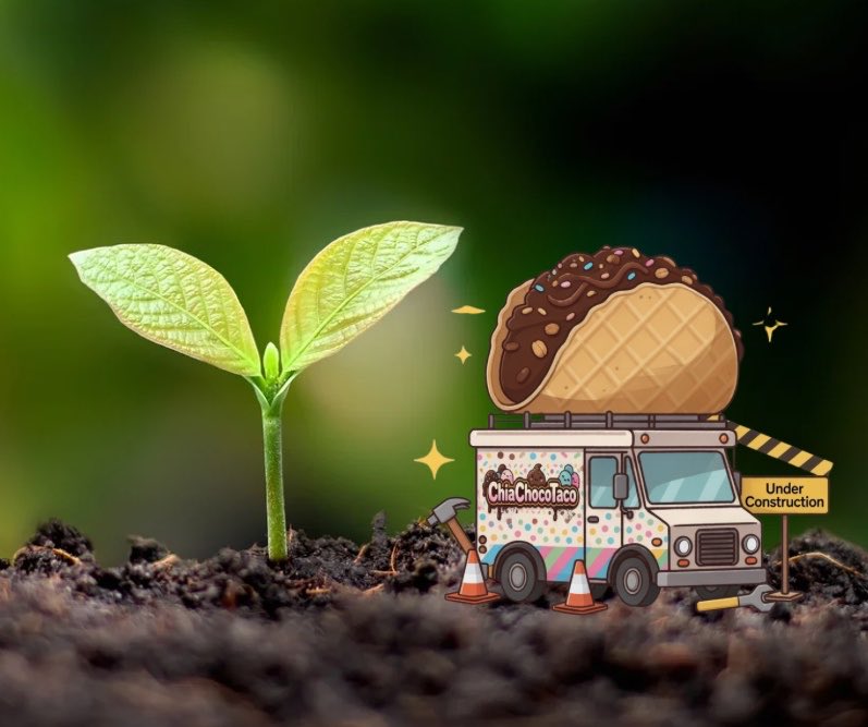 🍫🌮🌱 tweet media