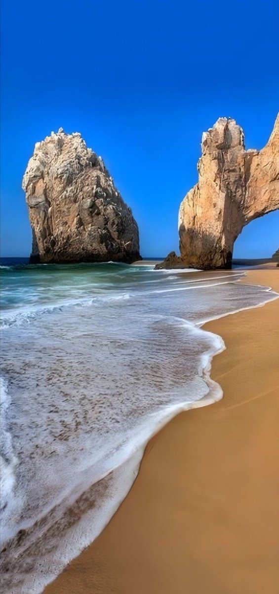 Nature's Embrace tweet media