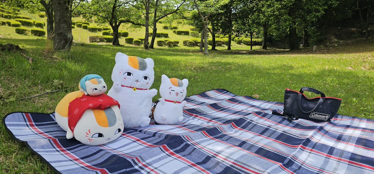 erici525's tweet photo. ニャンコ先生ホットサンドを作ってから🥪
ピクニック〜
天気よくて、すずめが虫と追いかけっこしてるの見れて楽しかった😁 https://t.co/uZ2p0RNa2l