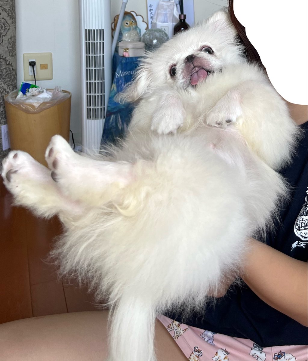 すこやか 麻呂 tweet media