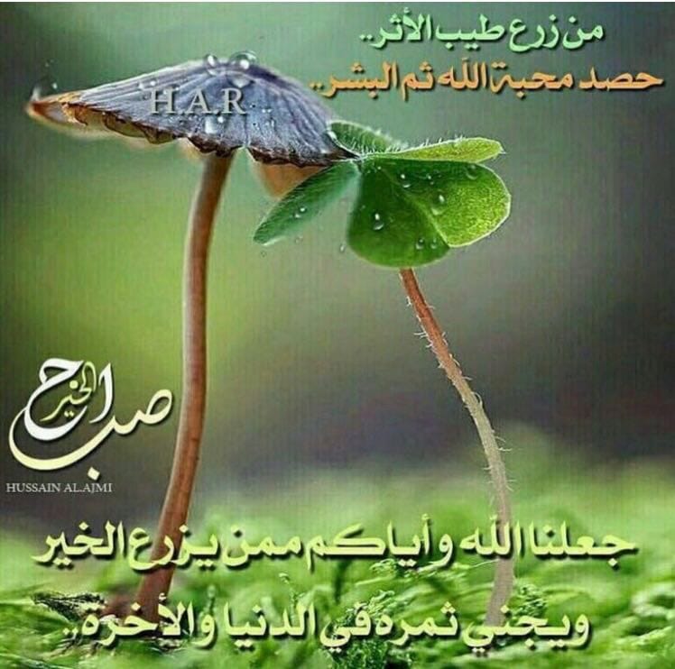 سـېْــد الحوسـےﻧﻲ҈ tweet media