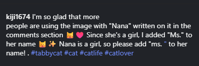 CateraX tweet media