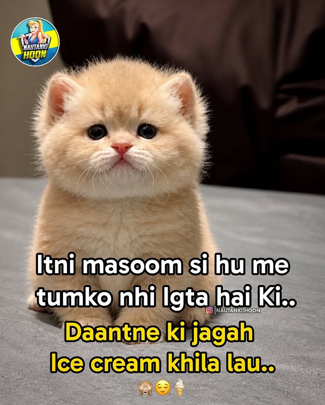 Mishthi Kalra tweet media