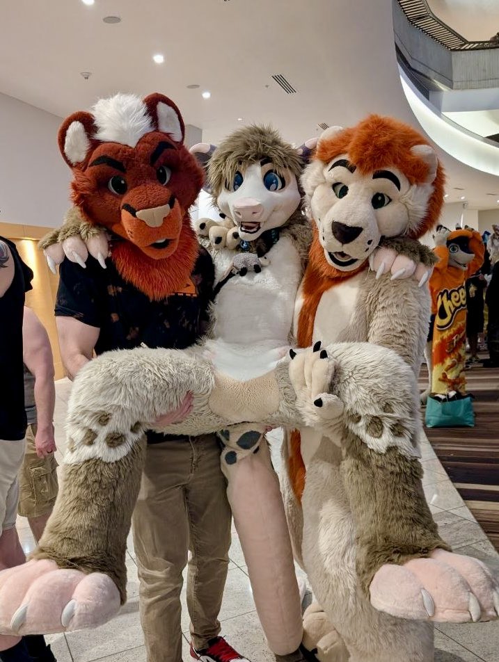 Micks (@micks_the_lion) / Posts / X