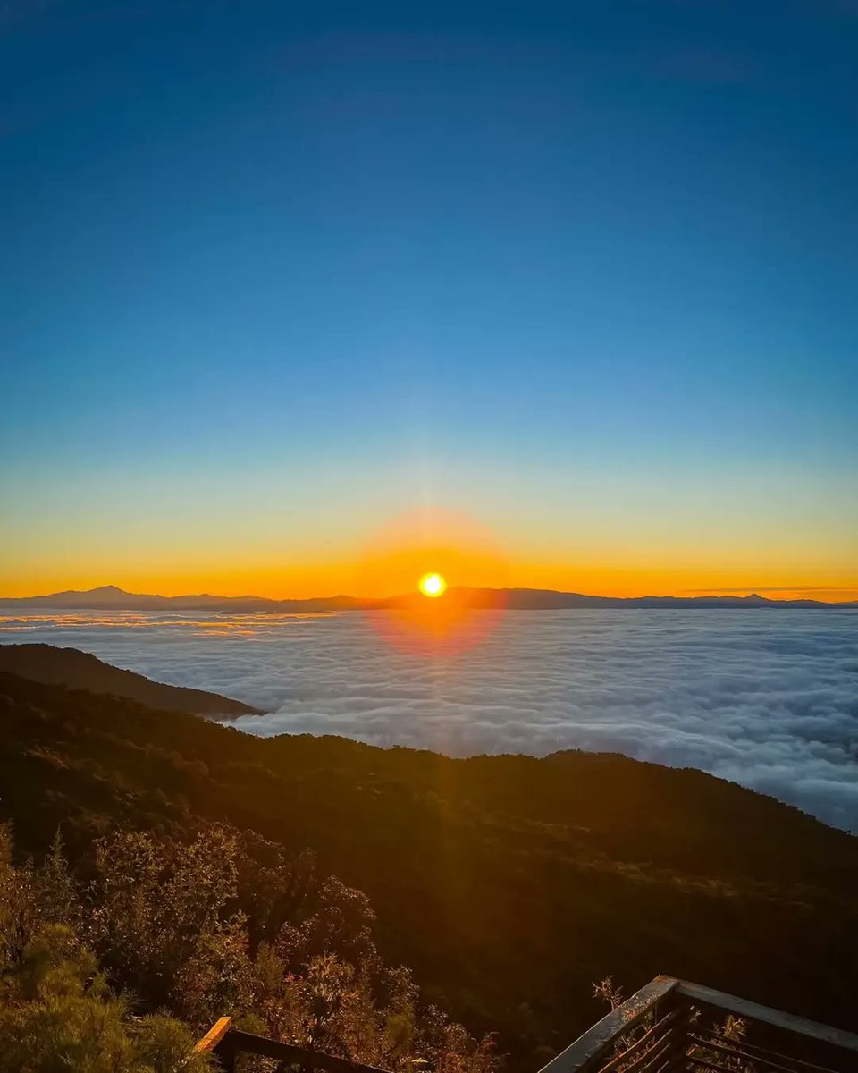Nature Explore (@NatureExplrtk0) / Posts / X