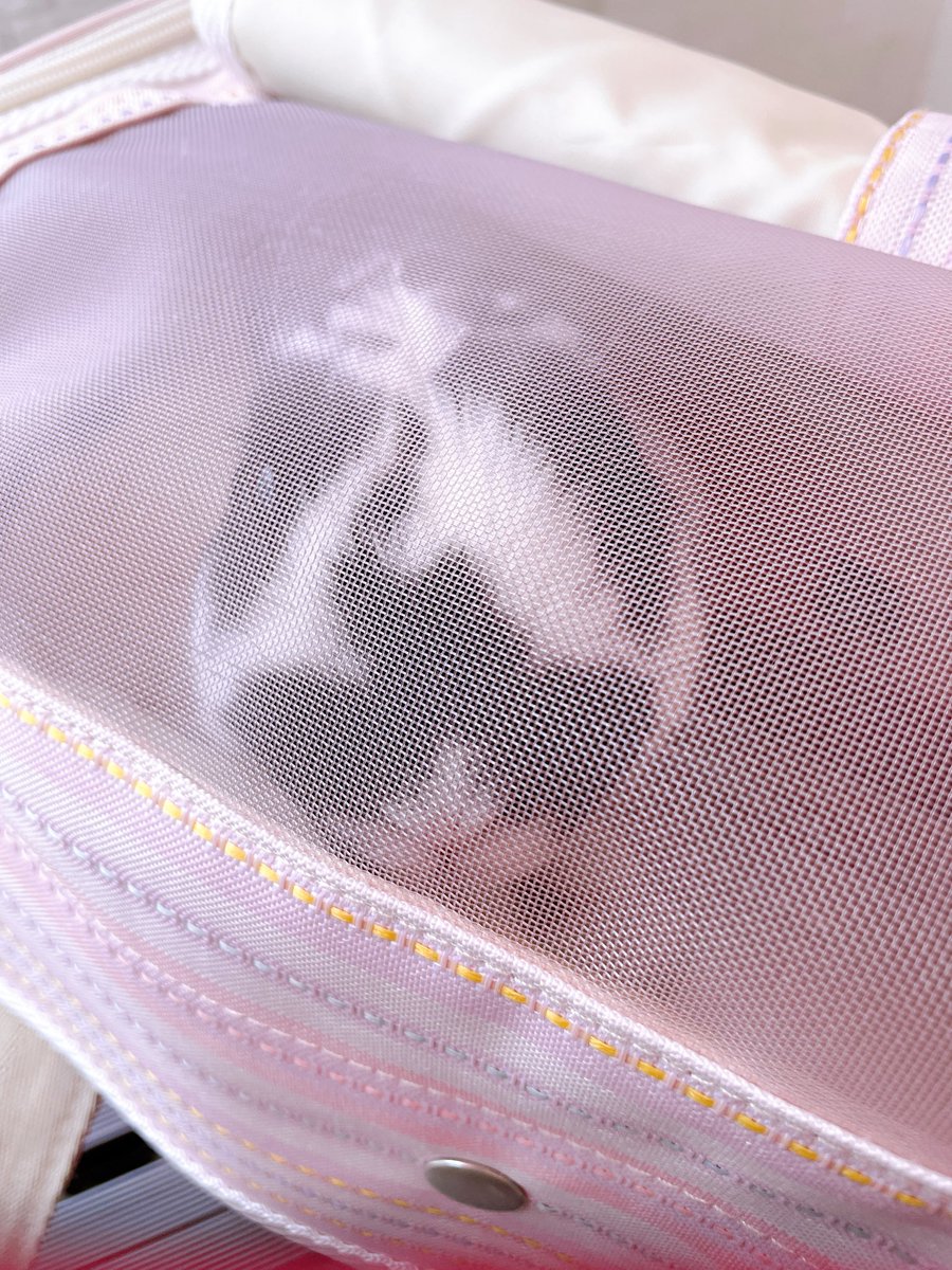 我が家の神の遣いLune様🐰 tweet media