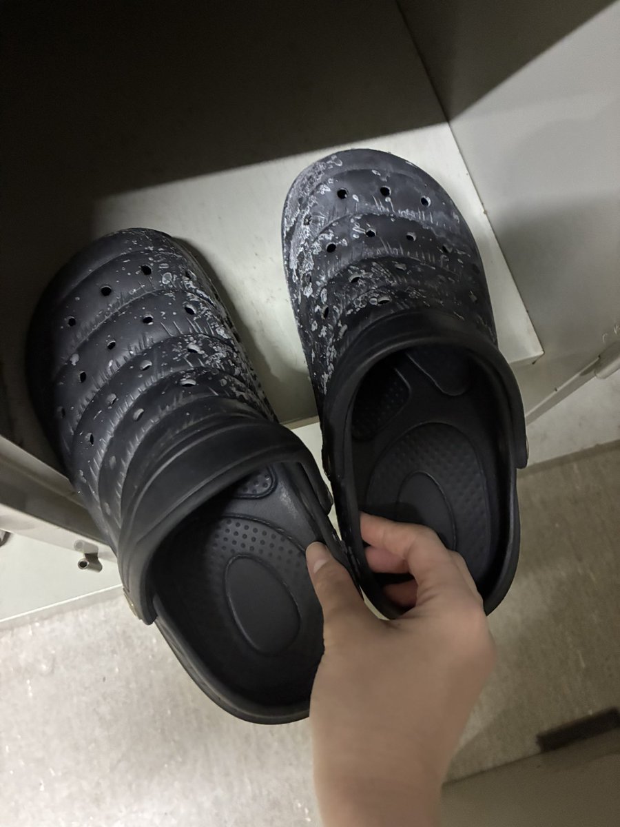 葛の葉 tweet media