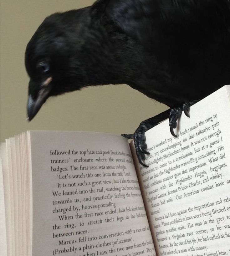 Croww_things tweet picture