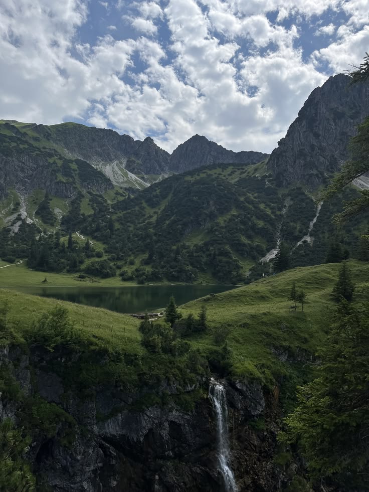 Nature On Earth tweet media