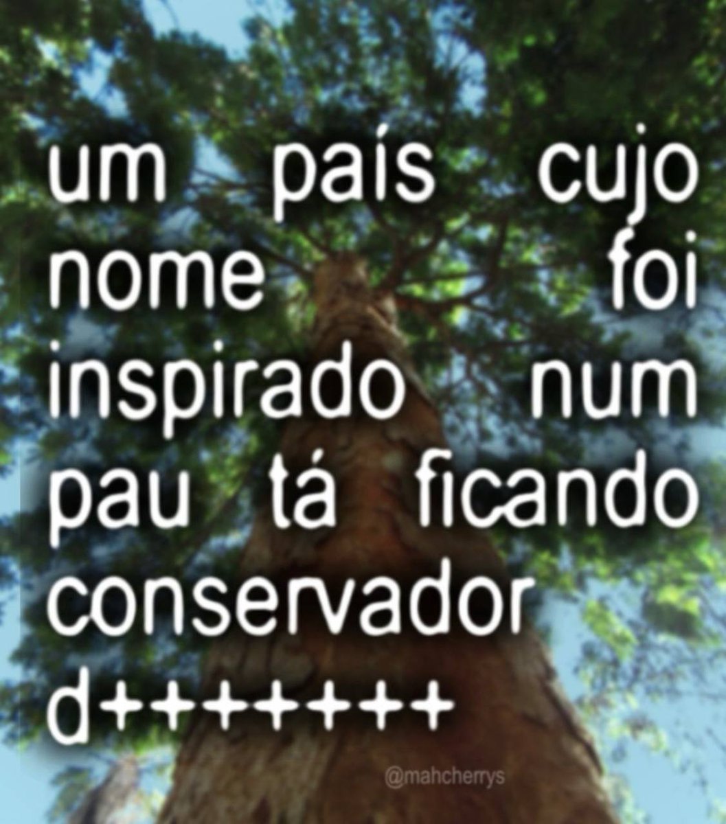 humor que o Maicon faria se nao fosse a militancia tweet media