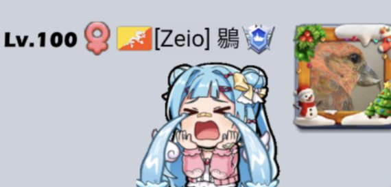 鶍 tweet media