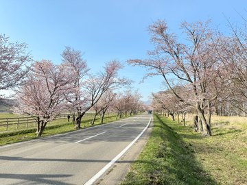 たて tweet media
