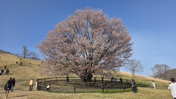 たて tweet media