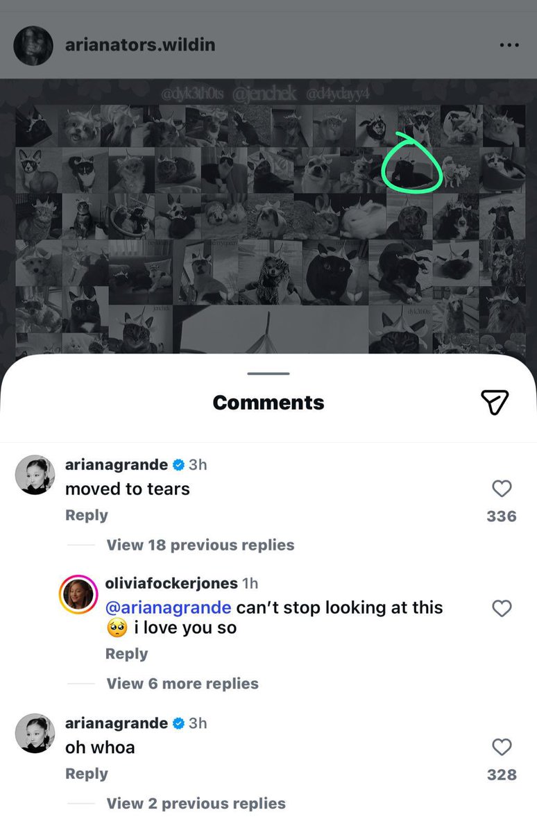 s ꕤ tweet media