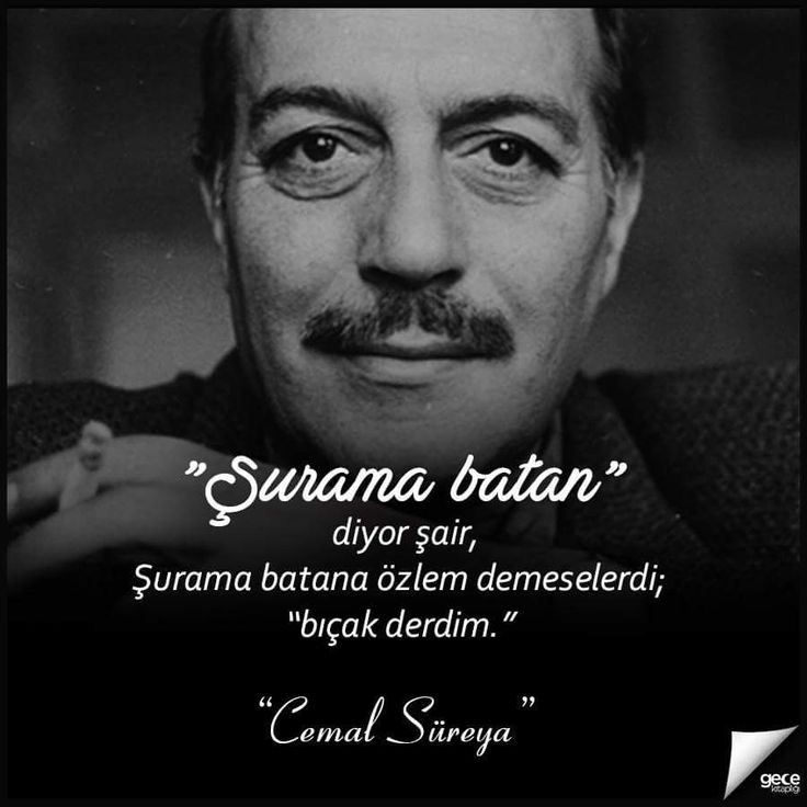 Celalettin can Erdem tweet media