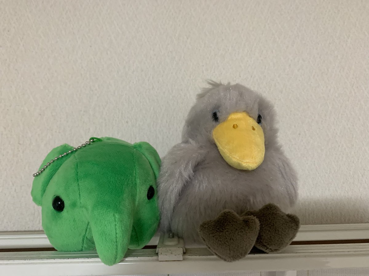 ピロスケ@JD tweet media