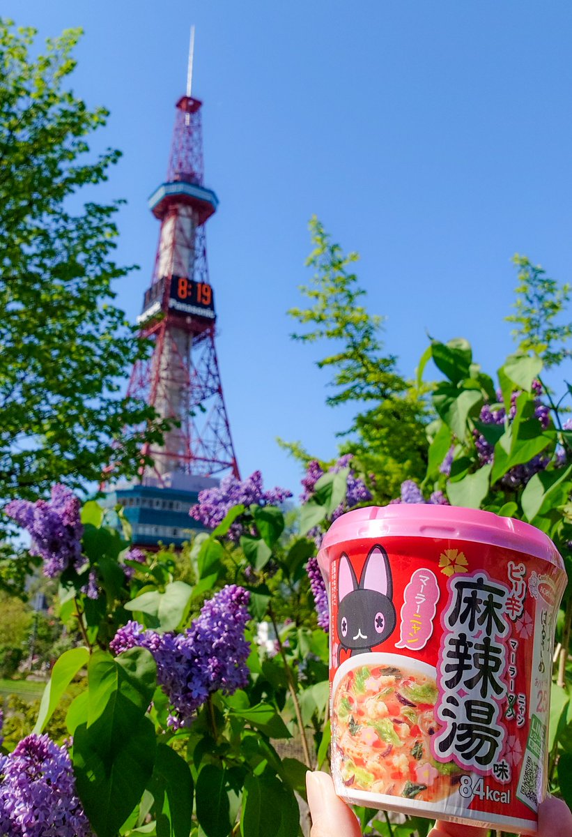 powerup_33's tweet photo. 今日の昼食は #マーラーニャン 🐈‍⬛🍜🌶️ 

花椒のいい香り🫶
ピリ辛で美味しい〜😻
小さいお花🌸（魚肉練り製品？）もかわいい🐱

明日も食べよう👻👻
#たかねこはるさめ
#高嶺のなでしこ https://t.co/PjCNkaygvf