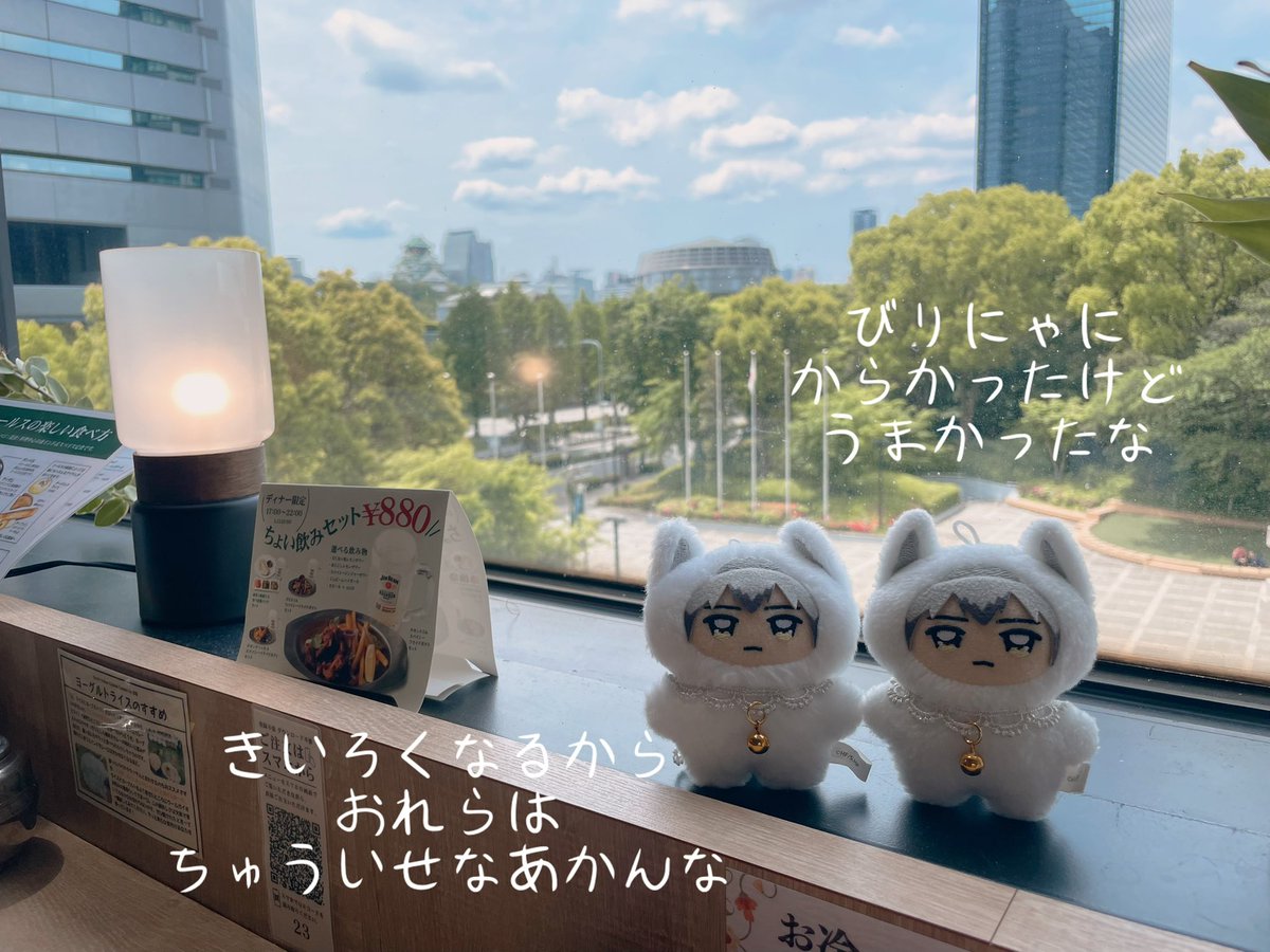 「ビリヤニ」って言えないちみきたず☺️🍛

#ちみきたさん
#うちのちみけも