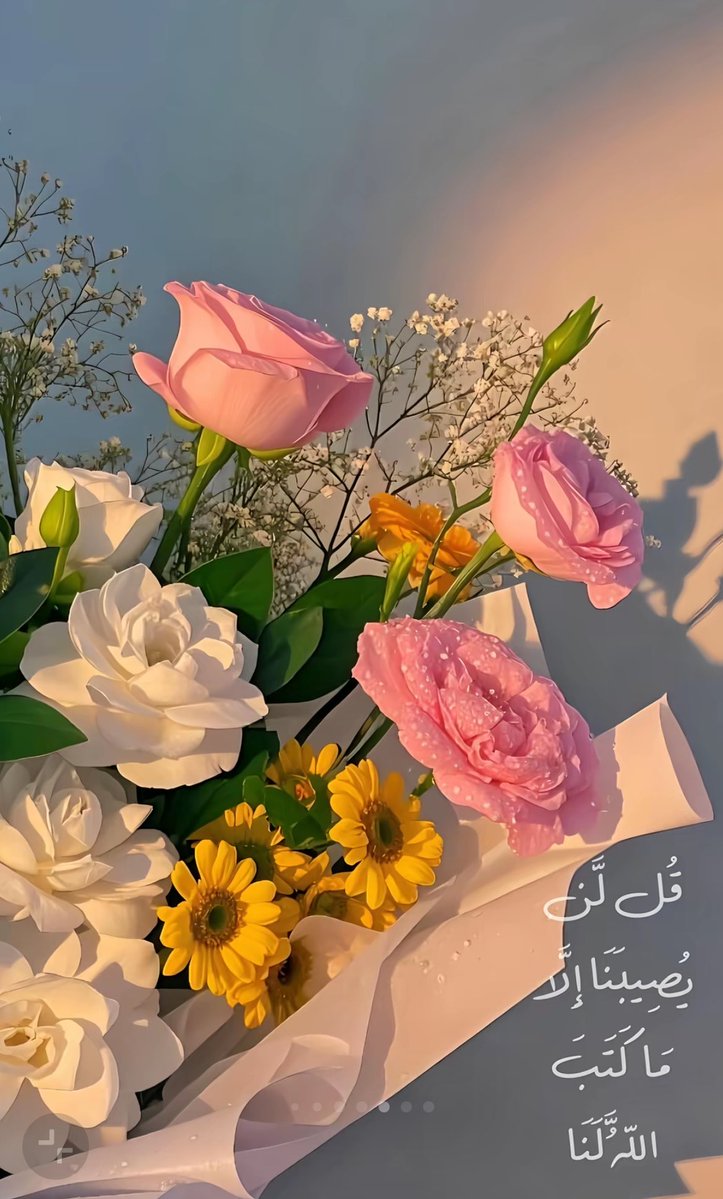 ❥ ‏ عنـزيـہه ❥ tweet media