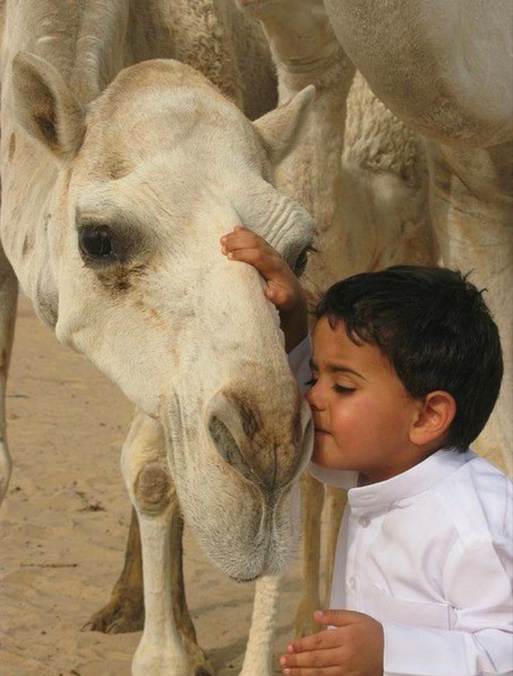 الصباحُ يخبرك أنَّ هُناك مُتَّسعٌ
للحياةِ ،للذكرِ ،للعفوِ للحُب ،لكُلِّ الأشياءِ الجميلة وهناك مُتَّسعٌ للنوايا الجديدة أيضًا"🕊🍃
#يخبرني_الصباح