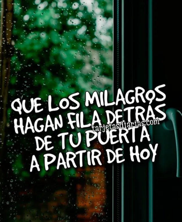 Lizbeth Quiñonez tweet media