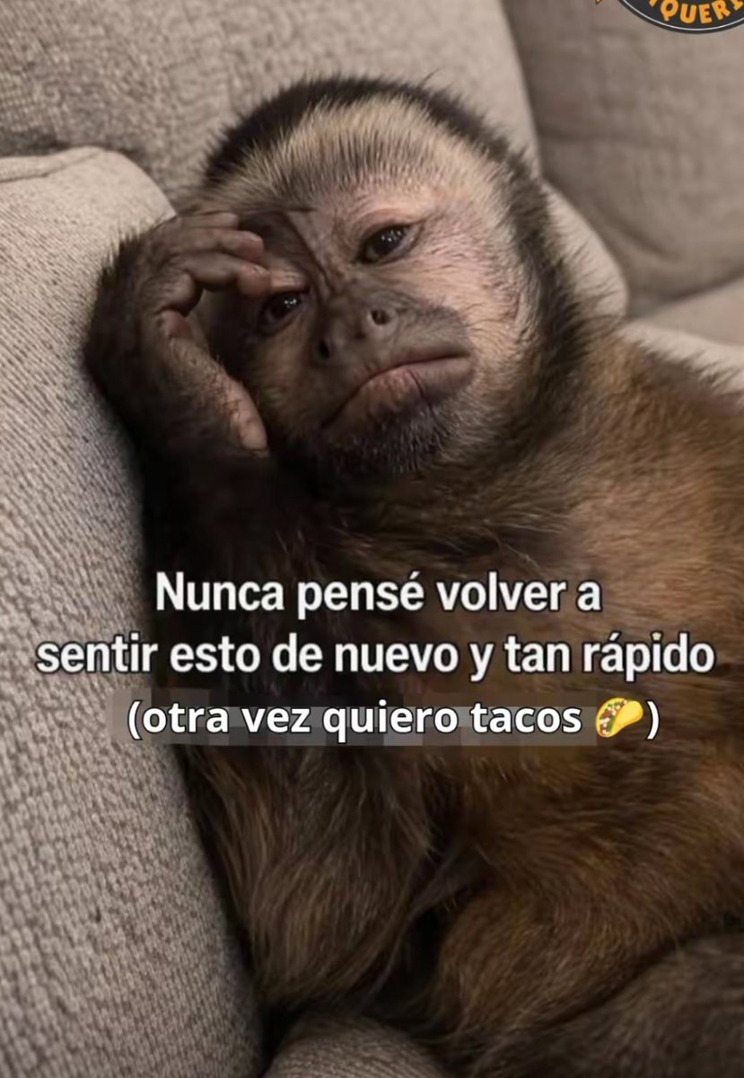 Arturo tweet media