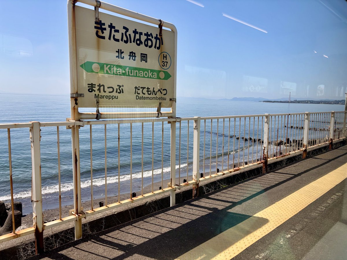 のぶりん☆噴火湾 tweet media